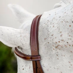 Horseware Pony Hunter Cavesson Bridle with Reins