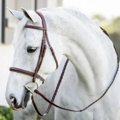 Horseware Pony Hunter Cavesson Bridle with Reins