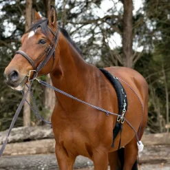 Horze Lunging Aid