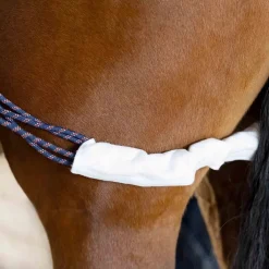Horze Lunging Aid