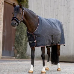 Horze Pegasus Pony Mid Weight Turnout 200g