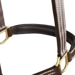 Huntley Fancy Stitch Padded Leather Halter