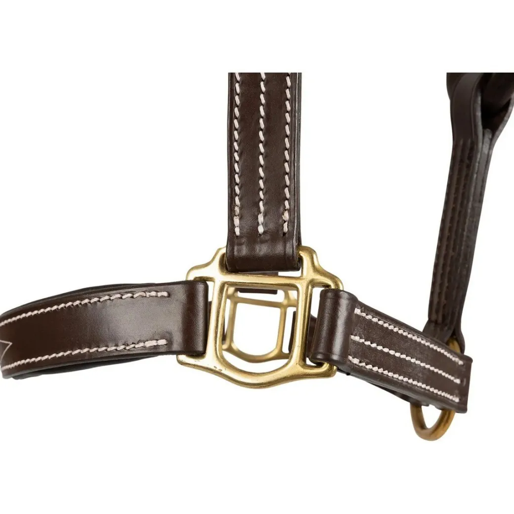 Huntley Fancy Stitch Padded Leather Halter