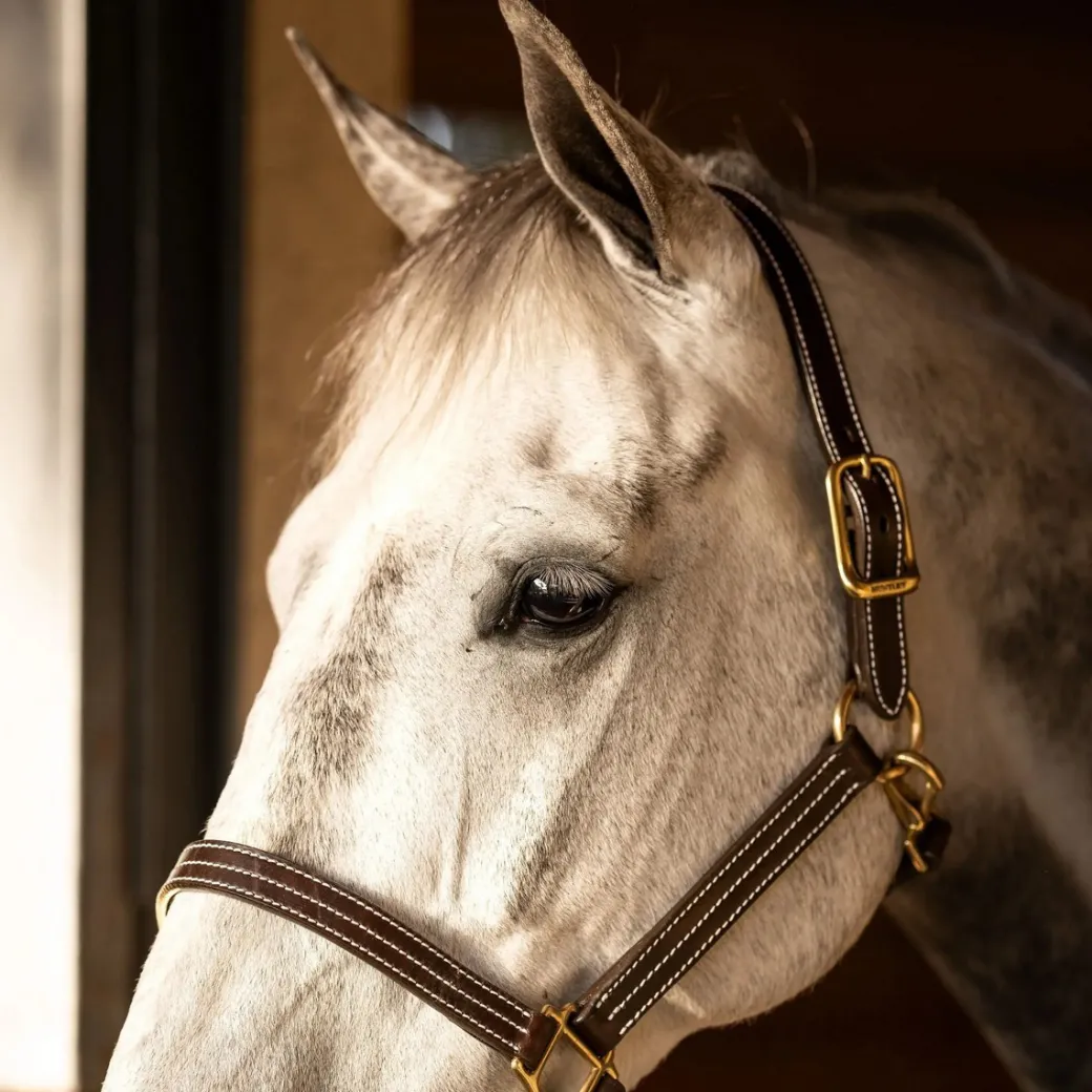 Huntley Triple Stitch Leather Halter