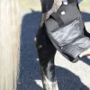 Ice Horse Hock Wraps with Inserts - PAIR