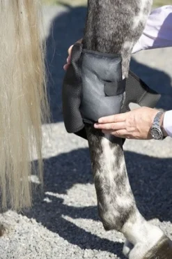 Ice Horse Hock Wraps with Inserts - PAIR
