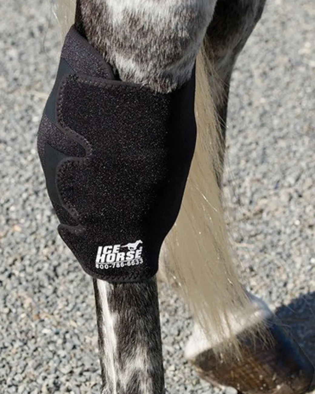 Ice Horse Hock Wrap with Inserts - SINGLE