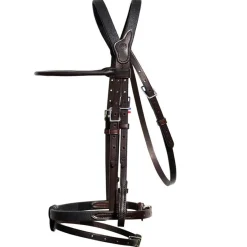 In Horse We Trust Bridle Evolution