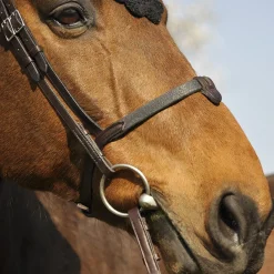 In Horse We Trust Bridle Evolution