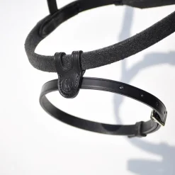 In Horse We Trust Bridle Evolution