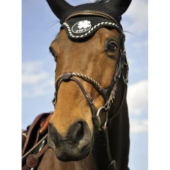 In Horse We Trust Coated Rope Noseband