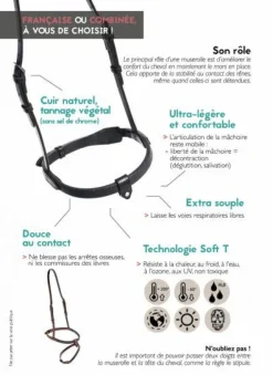 In Horse We Trust Flash Noseband with Crown