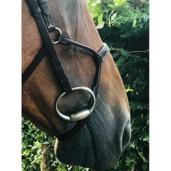 In Horse We Trust Infinity Noseband