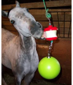 Jolly Stall Snack Combo Horse Toy