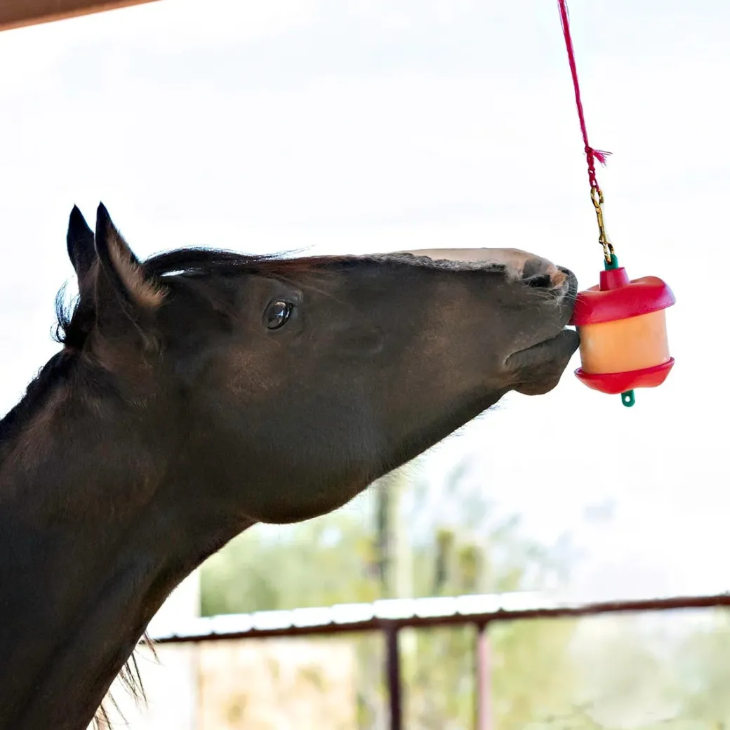 Jolly Stall Snack Holder