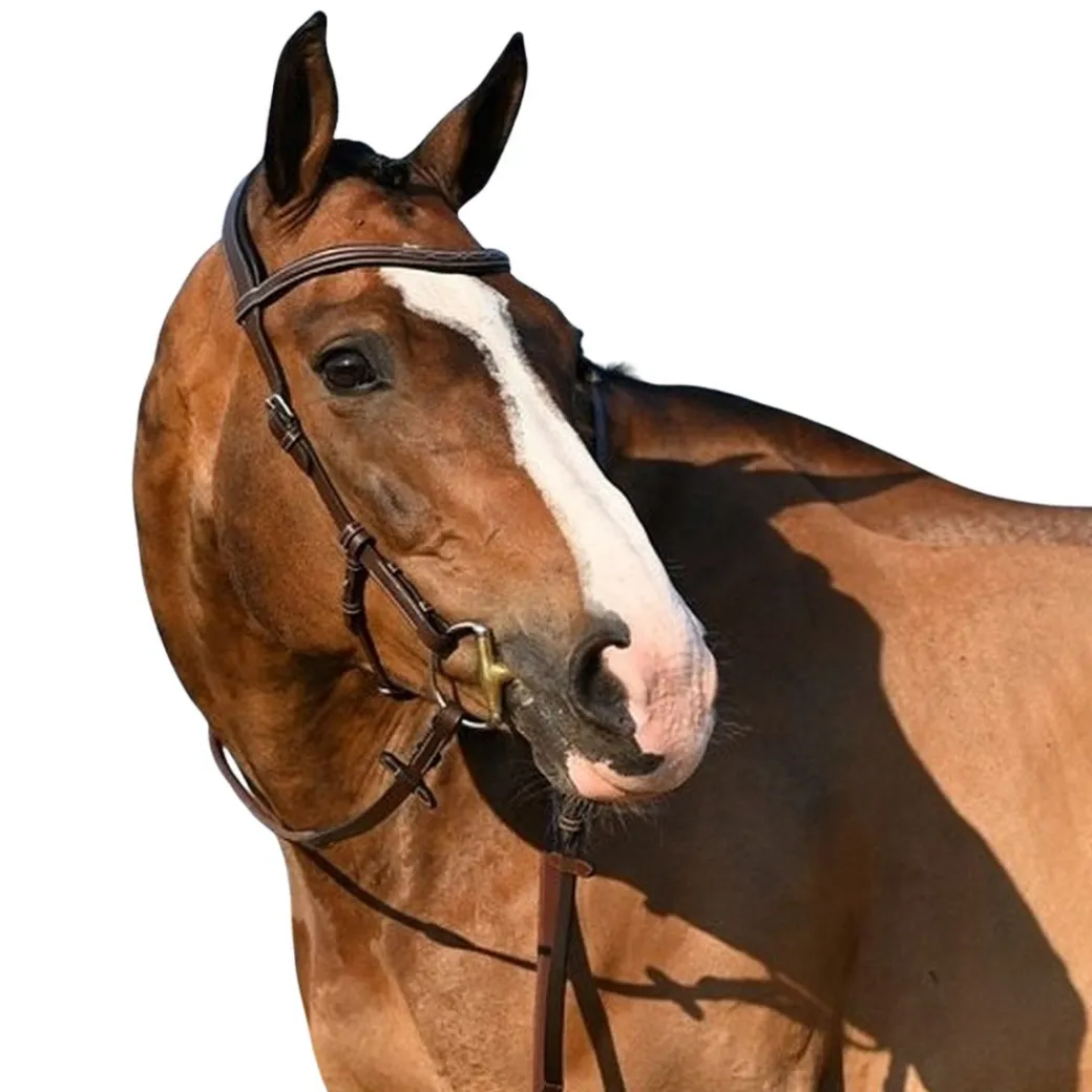 Jump'In Liberty Bridle