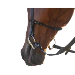 Jump'In Liberty Bridle