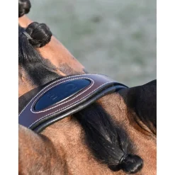 Jump'In Liberty Bridle