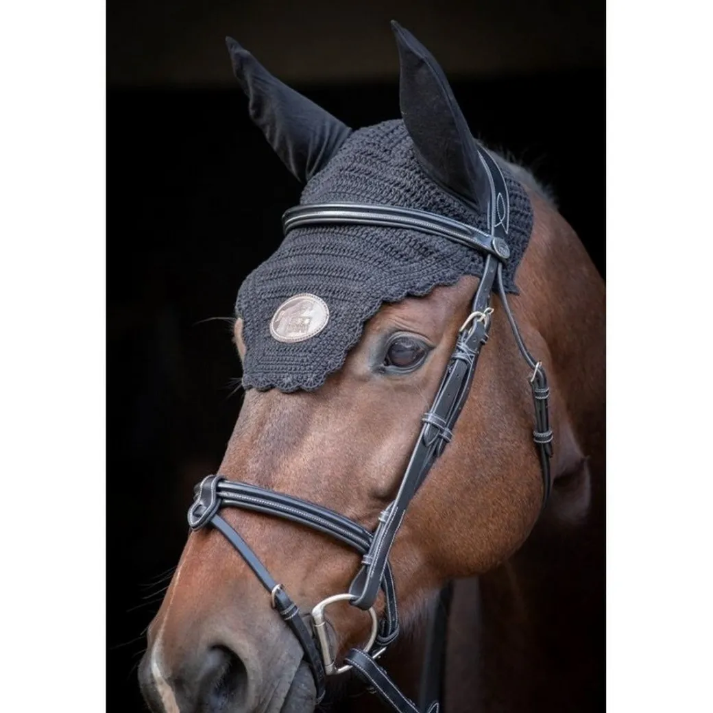 Jump'In Tuesday Flash Bridle