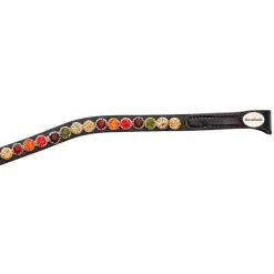 Kavalkade BC2 Autumn Leaves Browband