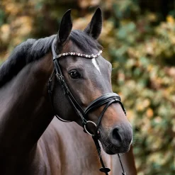 Kavalkade Burgundy Elastic Loop Browband