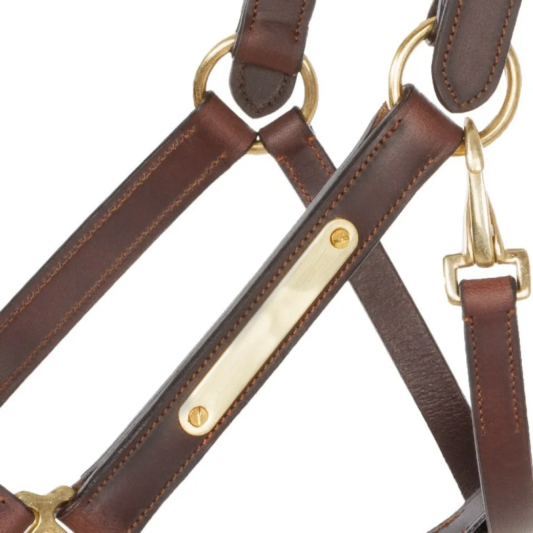 Kavalkade Cinta Halter with Brass Nameplate