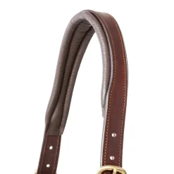 Kavalkade Cinta Halter with Brass Nameplate