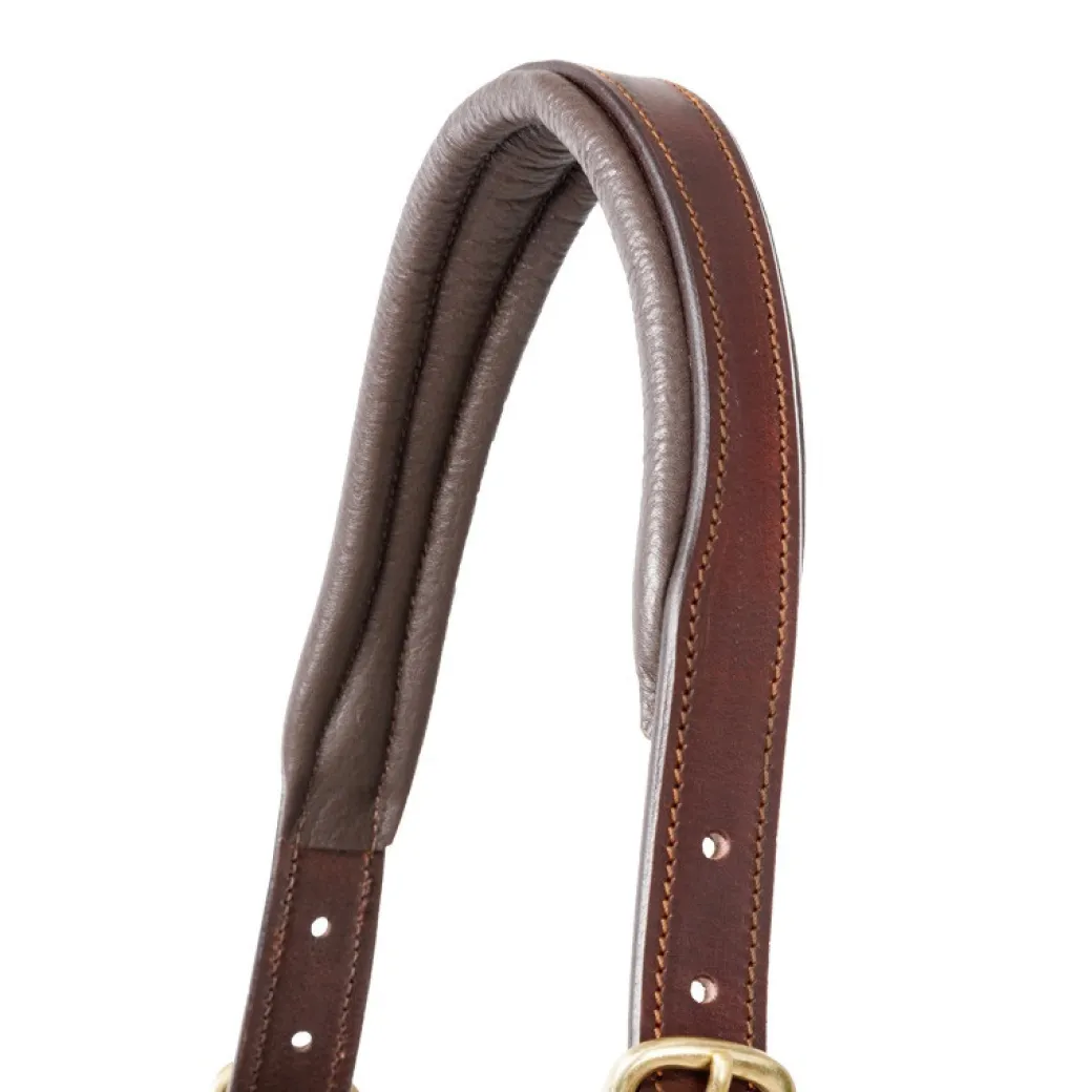 Kavalkade Cinta Halter with Brass Nameplate