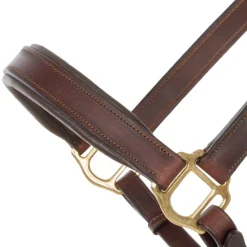 Kavalkade Cinta Halter with Brass Nameplate