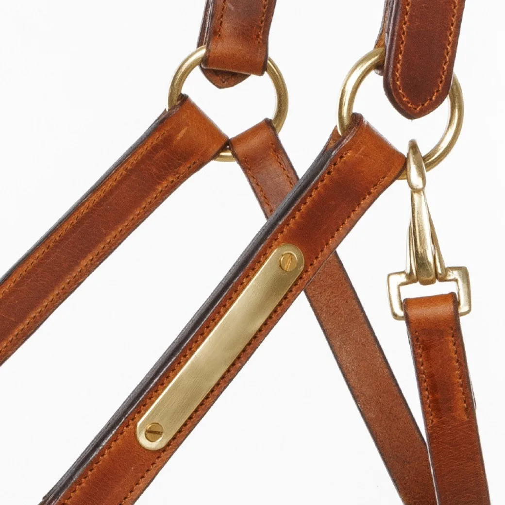 Kavalkade Cinta Halter with Brass Nameplate