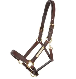 Kavalkade Cinta Halter with Brass Nameplate