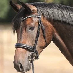 Kavalkade Diana Snaffle Bridle