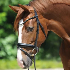 Kavalkade Grey Snaffle Bridle
