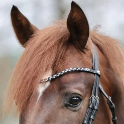 Kavalkade Hopscotch Elastic Loop Browband