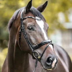 Kavalkade Ivana Patent Snaffle Bridle