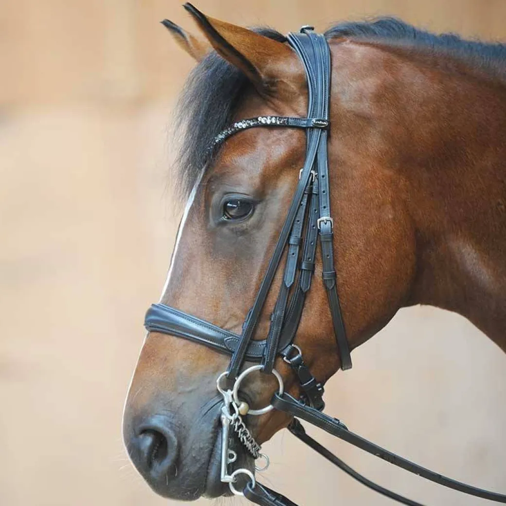 Kavalkade Ivonne Convertible Double Bridle