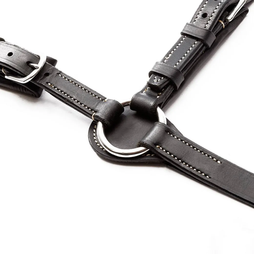 Kavalkade Jerome 2-Point Breastplate