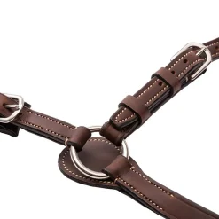 Kavalkade Jerome 2-Point Breastplate