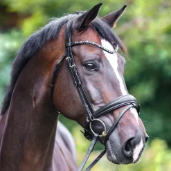Kavalkade Ocean Snaffle Bridle