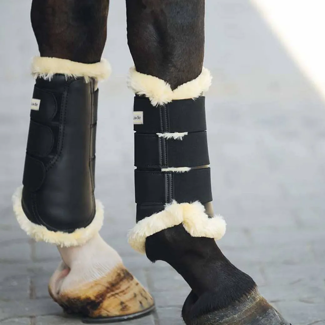 Kavalkade Show Brushing Boots