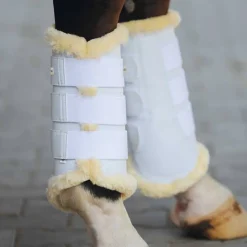Kavalkade Show Brushing Boots
