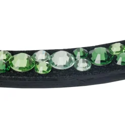 Kavalkade Sparkle Curved Browband
