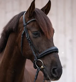 Kavalkade Victoria Snaffle Bridle