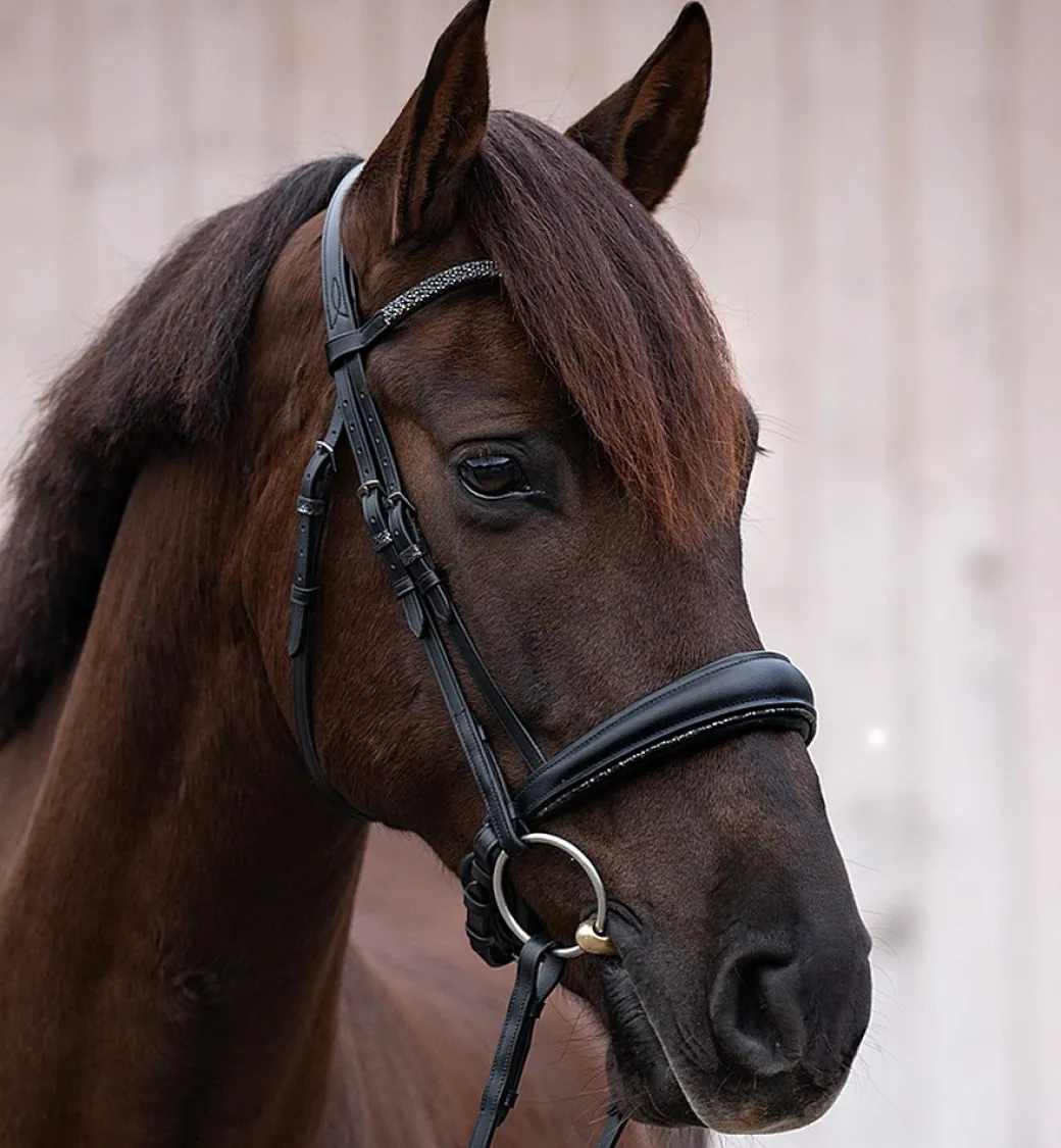 Kavalkade Victoria Snaffle Bridle