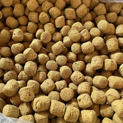 Kelcie's Pumpkin Spice Horse Treats