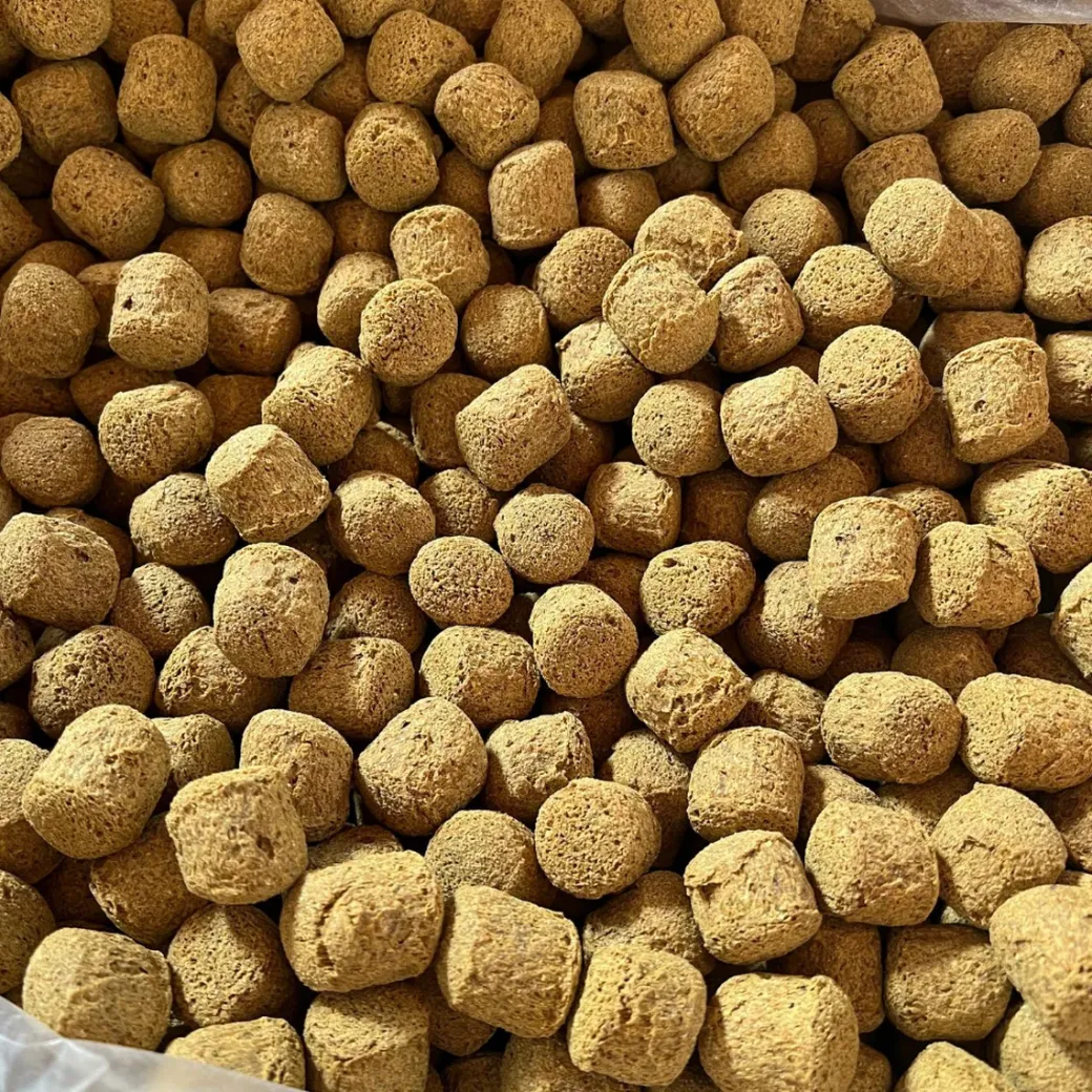 Kelcie's Pumpkin Spice Horse Treats