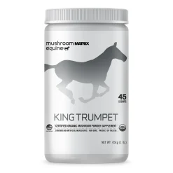 King Trumpet Equine Matrix