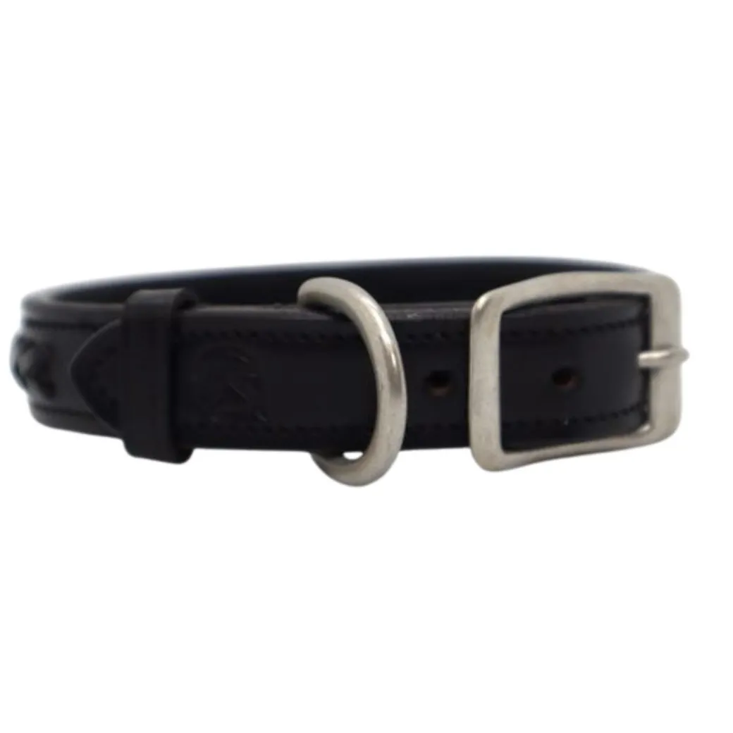 KL Select Braided Leather Dog Collar