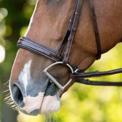 KL Select Hampton Hunter Bridle