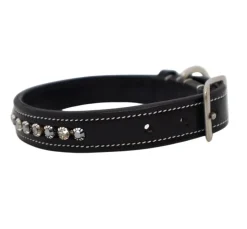 KL Select Impulsion Dog Collar